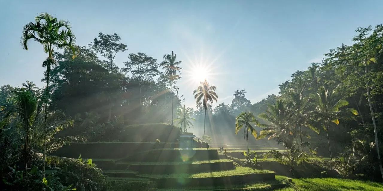 Indonesia - Bali - Tegallalang