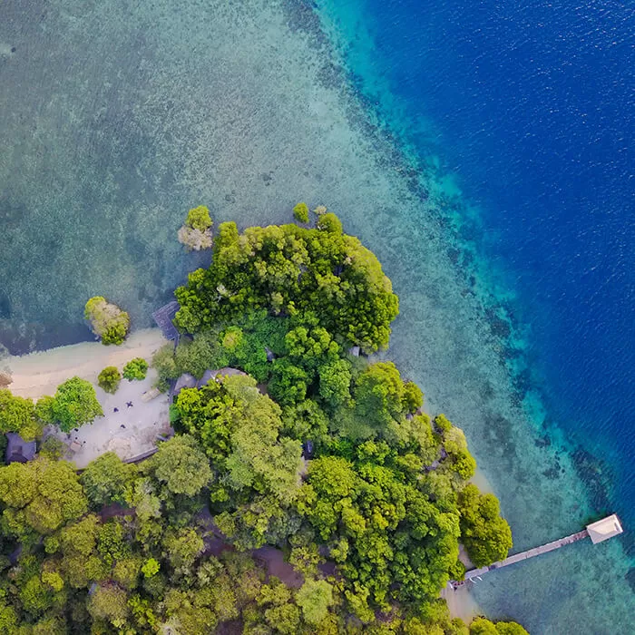 Early Bird Special - Special Offer