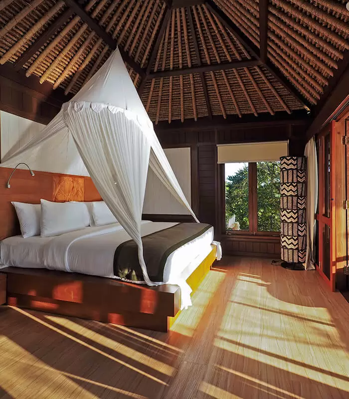 Early Bird Special - Special Offer