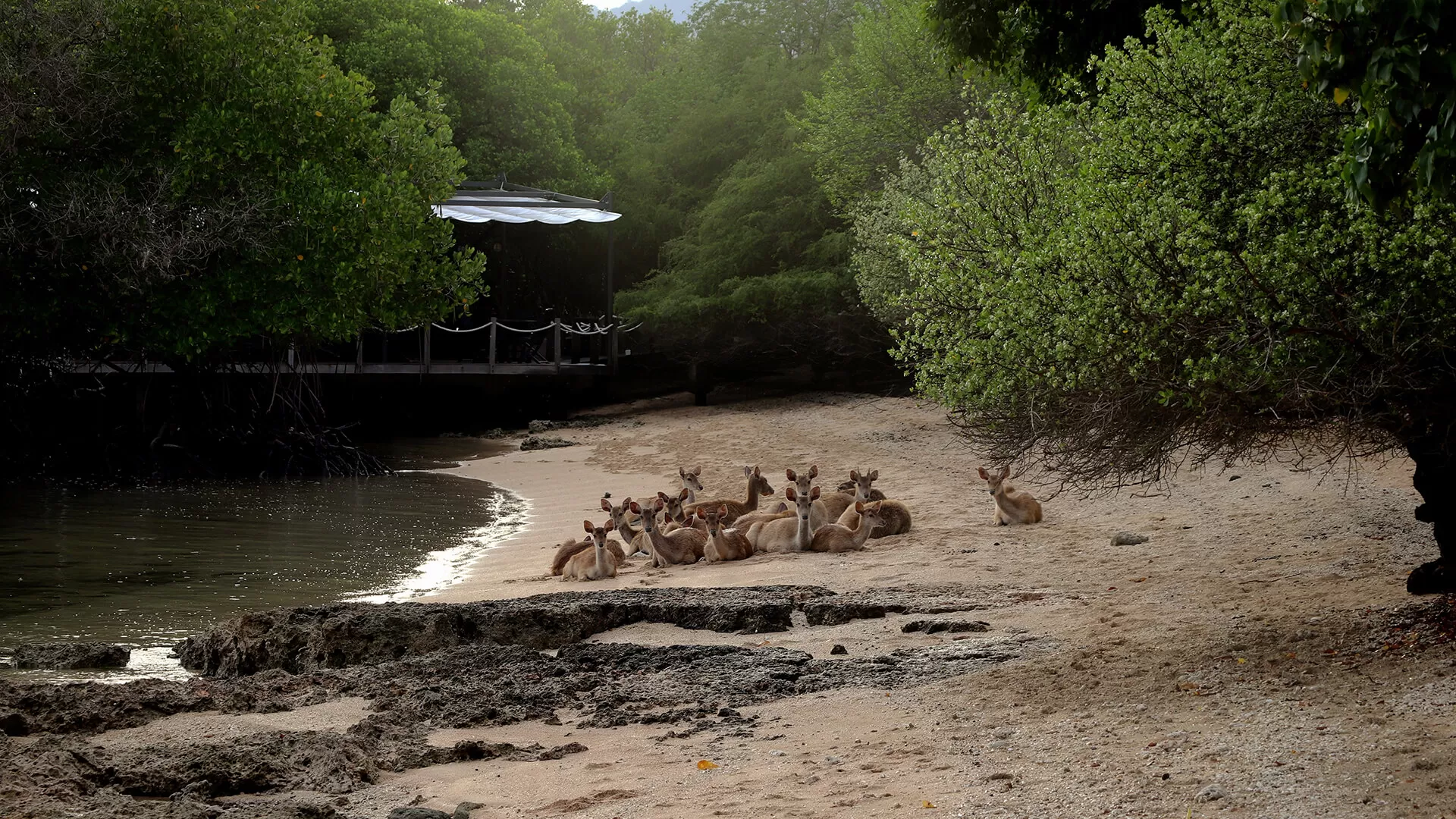 Tailor Made - by Lifestyle Retreats