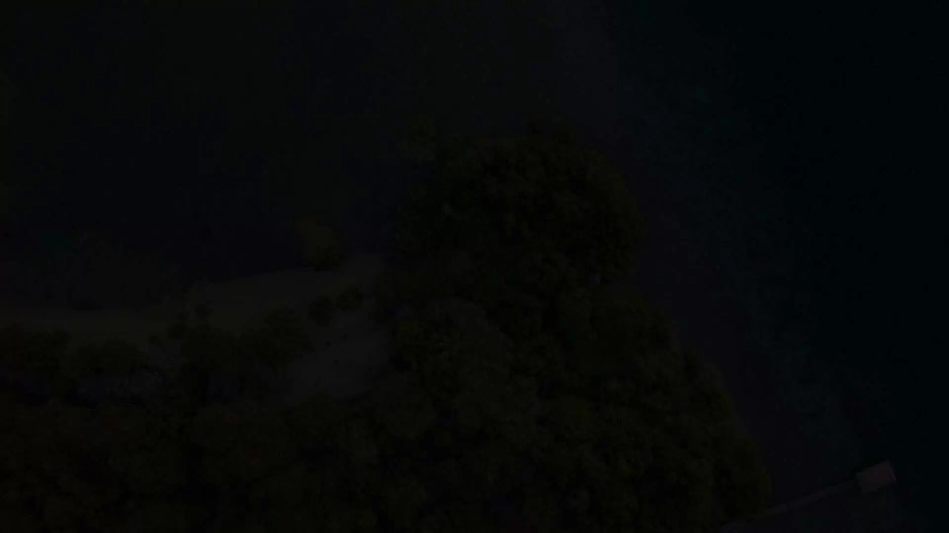 Lifestyle Retreat Video Banner Placeholder